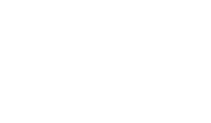 den grimme ælling