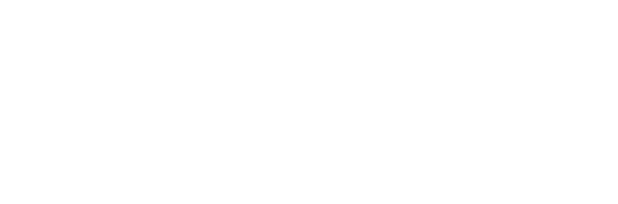 the liberators